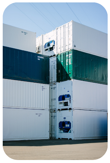 Contenitore refrigerato verde e bianco nel deposito di MT Container ad Amburgo