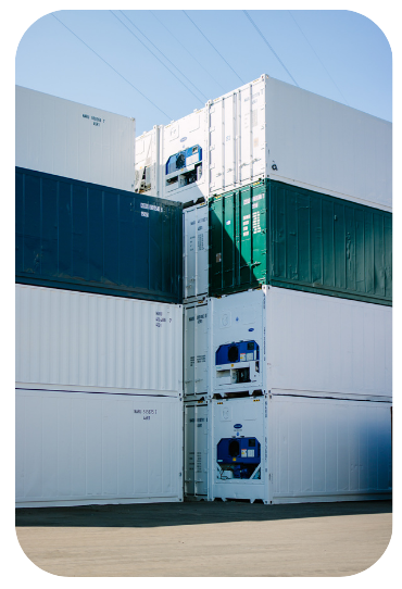 Gröna och vita Reefer Containers vid MT Container Depot i Hamburg